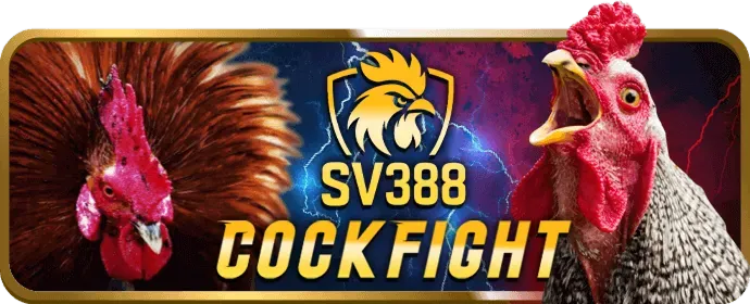 Đội ngũ hỗ trợ khách hàng của hi88vip8 nhà cái